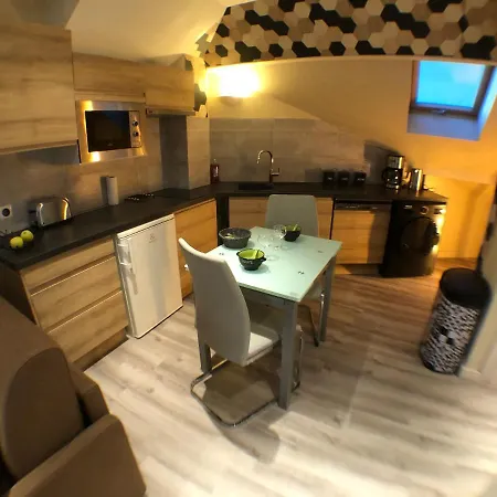 Au Bord Du D'annecy, Type Loft, Dans Avec Et Ponton Privee Apartment Duingt