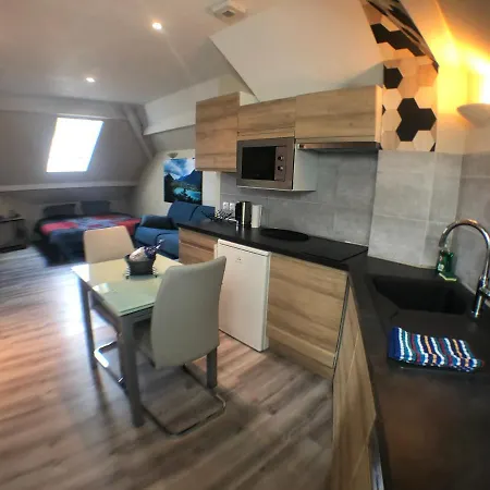 Au Bord Du D'annecy, Type Loft, Dans Avec Et Ponton Privee Apartment