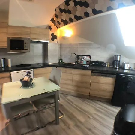 Au Bord Du D'annecy, Type Loft, Dans Avec Et Ponton Privee Duingt