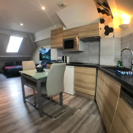Au Bord Du D'annecy, Type Loft, Dans Avec Et Ponton Privee Apartment *