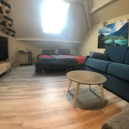 Apartment Au Bord Du D'annecy, Type Loft, Dans Avec Et Ponton Privee