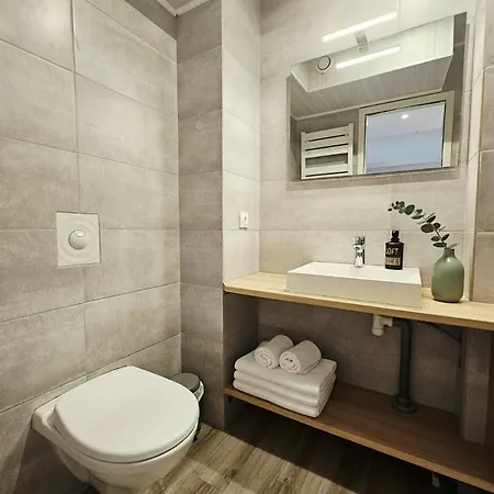 Sous Les Toits - Plage&parking Privés Duingt